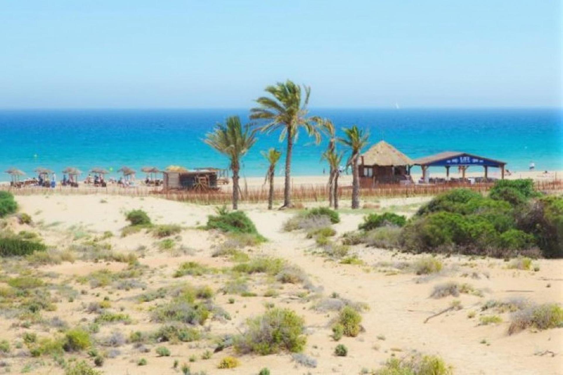 Mediterraneamente Soleado Santa Pola Buitenkant foto